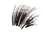 Quill Headed Giants