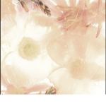 Peaches Flowers