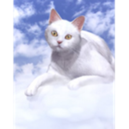 Cloud Cats Hangout! (W.I.P.)