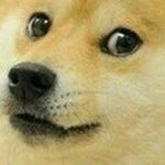 Mega Pro Doge Clan