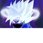 the transcended gamers