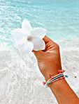 ~loves fan group~