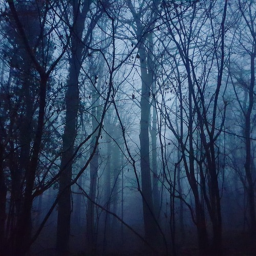 (WIP) Haunted Forest