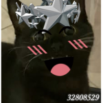 itskash