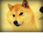 Doge Clan United