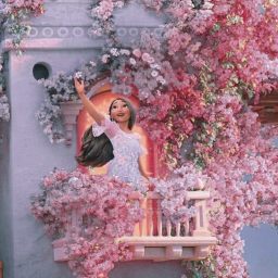 ´¨🌹*¨¨
