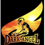 DarkAngels group
