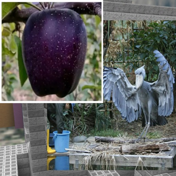 ok disons juste que c'est un jeu roblox