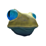 Yellow and Blue Frog Head