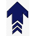 Bluearrows