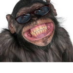 Funny monkeyz