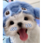 blueberryshortcakee