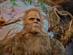 Sasquatch Clothes