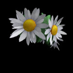 [FREE UGC]🌼Get the Spring Flower Crown🌼