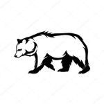 bear goup