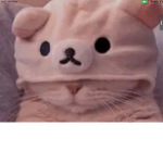 PANDA AND CAT ARMY
