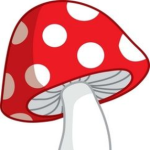 Mushroomia!