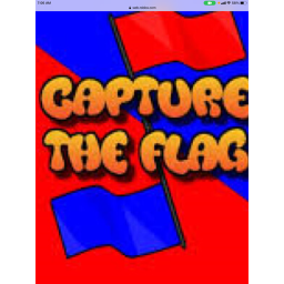 CAPTURE THE FLAG!