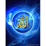 jannah forever