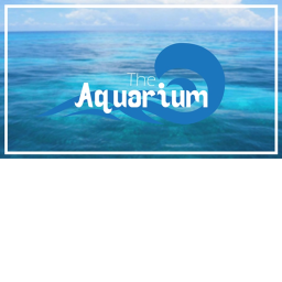 Fishy Aquarium