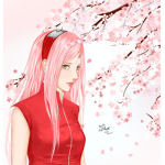 sakura fanclub
