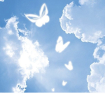 !!angel!!