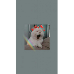 Wølfies