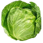 The Cabbage Patch.