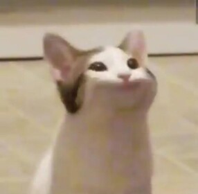 [MINI MALL] Pop Cat Minigames