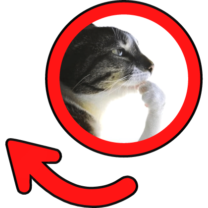 Thinking Cat Meme Circle