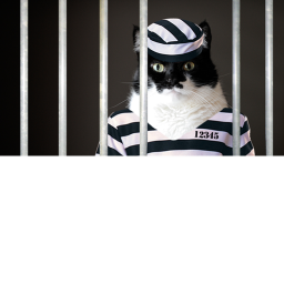 CAT PRISON FOR CATS