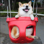 ImpulS3_Raven frens