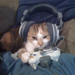Play_This_Game