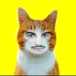 894CAT’s Official Group