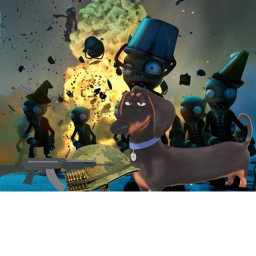 kill zomnie