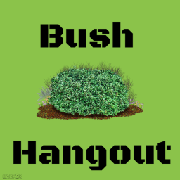 Bush Hangout (UPDATE ABANDONED!)