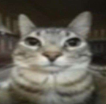 12351235r2qrqwe