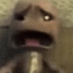 Doges yeeeeeeeaaaaa