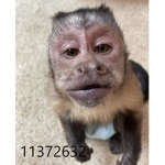k4r