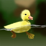 The Liberty Ducks