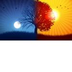 SunMoonlight