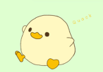 Fizzzy duck