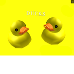 ~Ducks~
