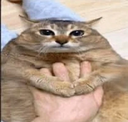 bwuhmangaming Roblox group icon