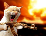 killer kitties