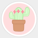 Cacti Krew
