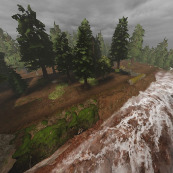 A Very Mysterious Forest