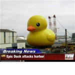 The Epic Duck Squadron
