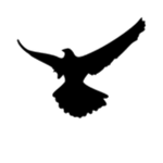 Eagles ®