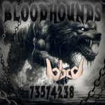thebIoodhounds